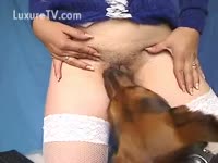 Brunette receives a licking from her dog